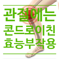  관절에 콘드로이친 효능 섭취량 부작용 고르는방법