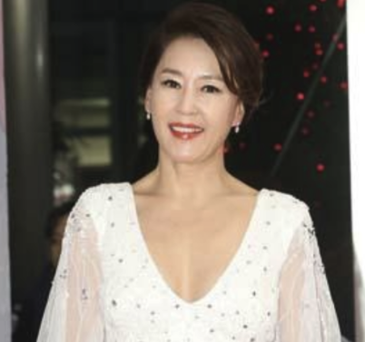  차화연 프로필 결혼 이혼 자녀 나이 데뷔 작품 리즈시절