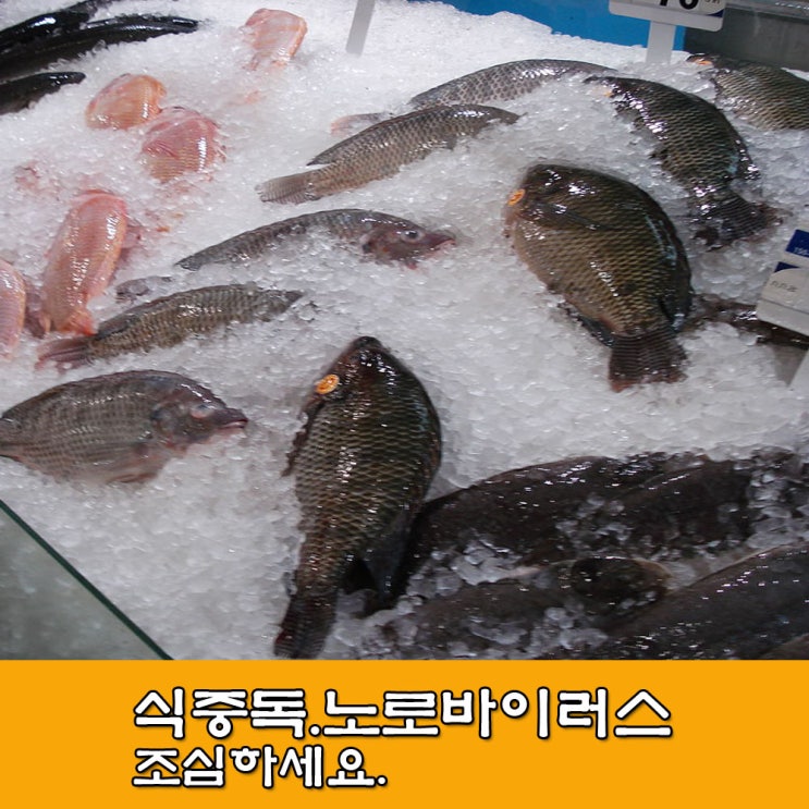  식중독. 노로바이러스. 식중독 예방하는 방법