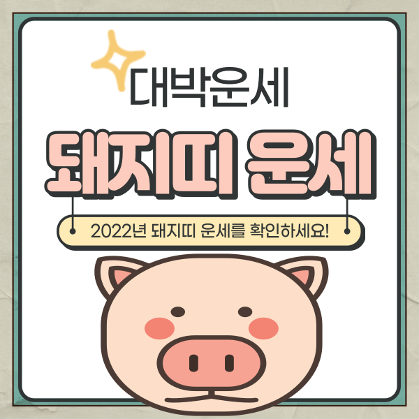  2022년 돼지띠운세 나이 확인하세요
