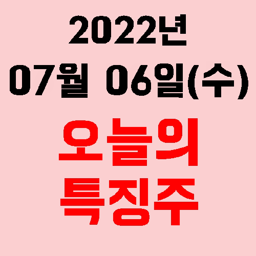  오늘의 시장 특징주 2022년 07월 06일(수)