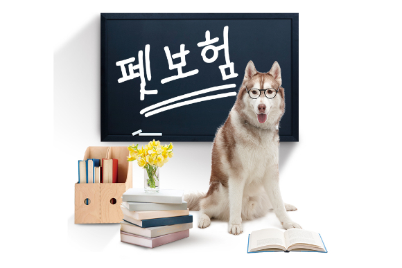 "펫보험, 같이 팔자"… 떼쓰는 생명보험사들 "펫보험, 같이 팔자"… 떼쓰는 생명보험사들