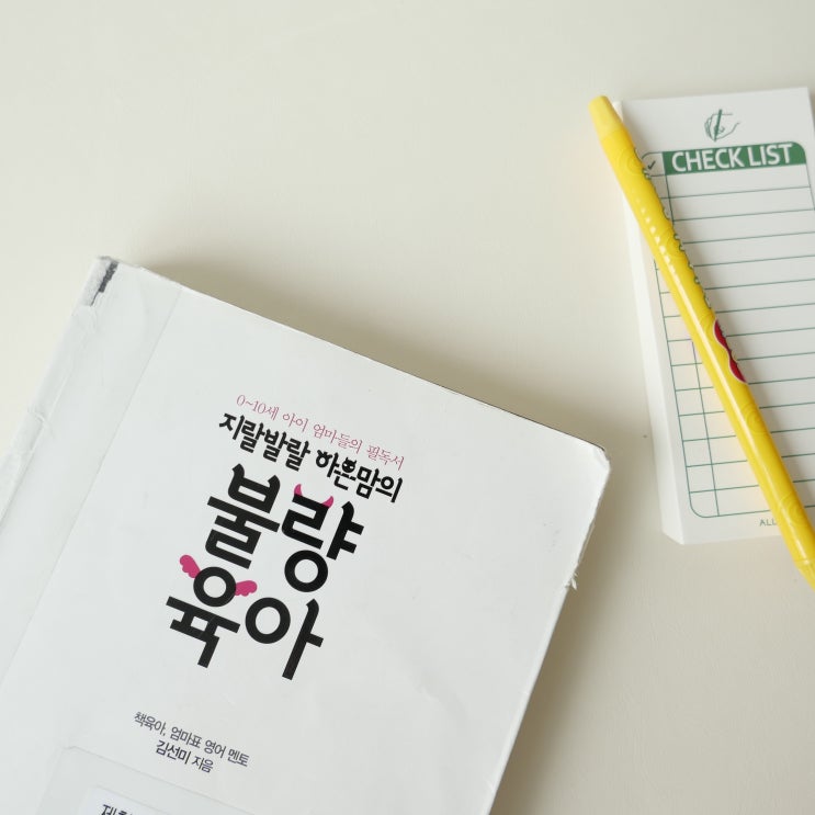  지랄발랄 하은맘의 불량육아 현실적인 육아서적