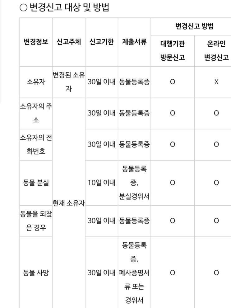  '동물등록 자진신고' 기간 운영…반려견 등록은 선택 아닌 필수