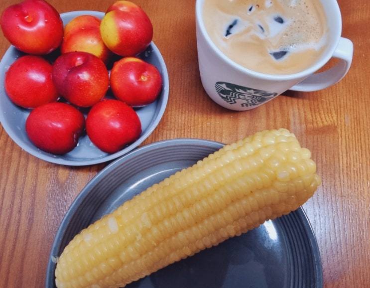  당일 수확, 당일 판매 강원도 찰옥수수 여름에 먹기 좋은  월곡역 근처 따끈하고 맛있는 찰옥수수
