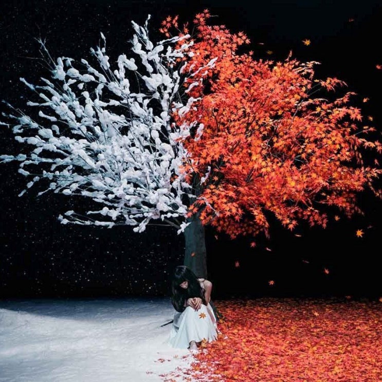  [가사번역] Aimer(에메) - 노을빛(茜さす)