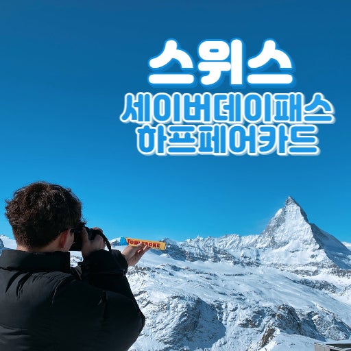  스위스 세이버 데이 패스 & 하프 페어 카드 - 교통비 아끼기, 구매 방법
