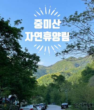 캠핑 : 중미산 자연휴양림 야영 후기1 (feat. 해물칼국수 맛집)