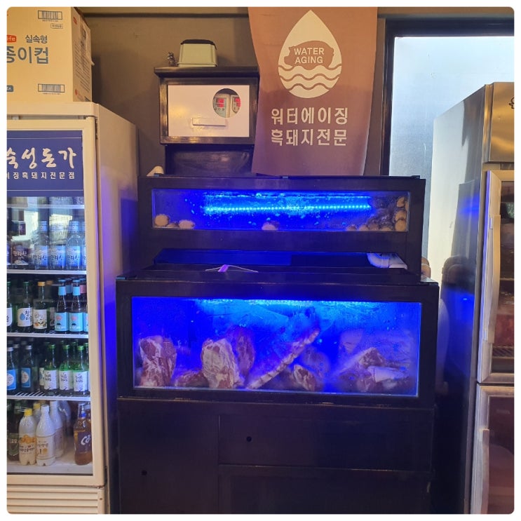  제주 애견동반 식당 제주 중문 흑돼지 중문숙성돈가