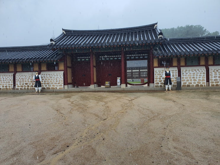  주간일기챌린지_7월 1주차(비, BHC 치퐁당, 하리보집게핀, 버터우드 고양이)