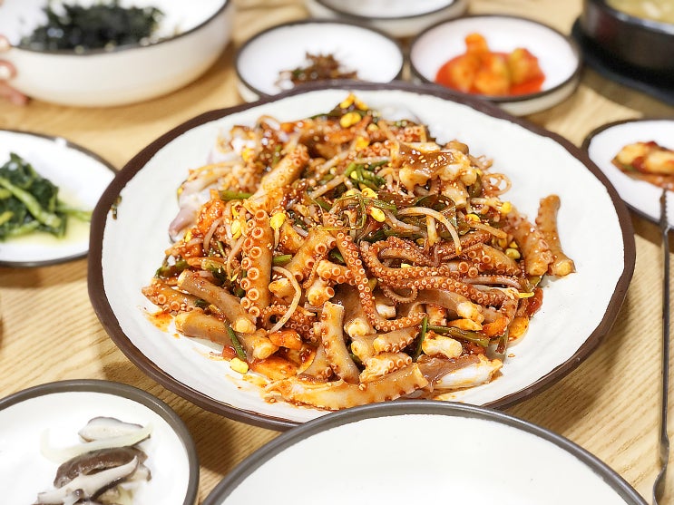  광주 농성동 맛집 :: 땅끝뻘낙지 탱글탱글 낙지초무침 뿌시기