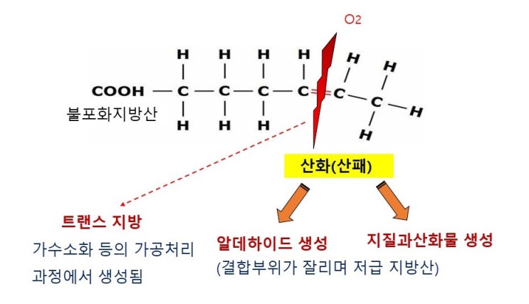  포화지방산과 불포화지방산, 다불포화지방산, 트랜스지방산, 오메가3 지방산이란? 지방종류와 건강한 지방섭취법