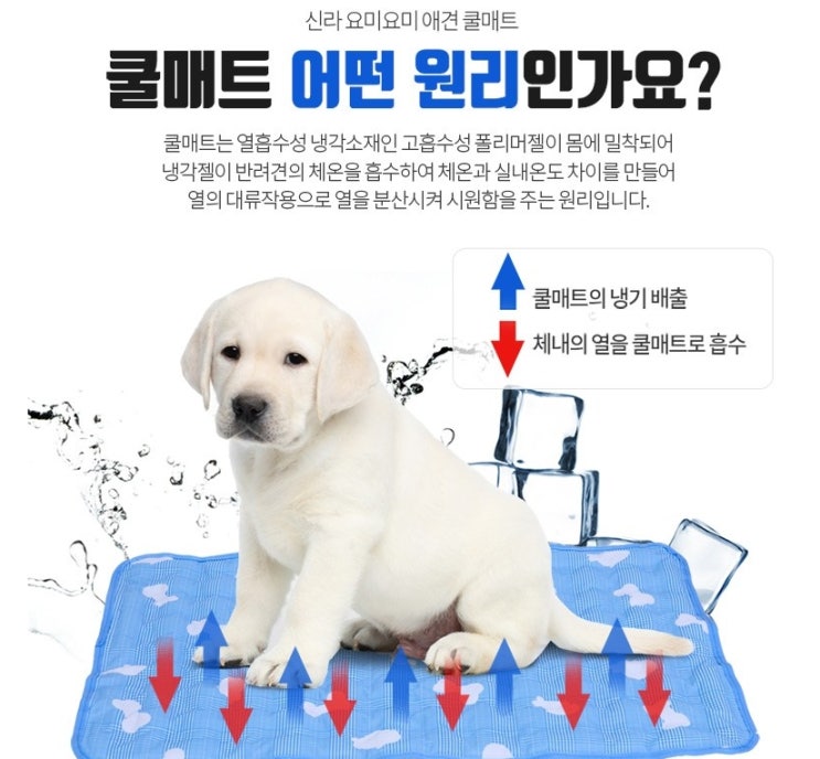  신라 요미요미 반려견 쿨매트