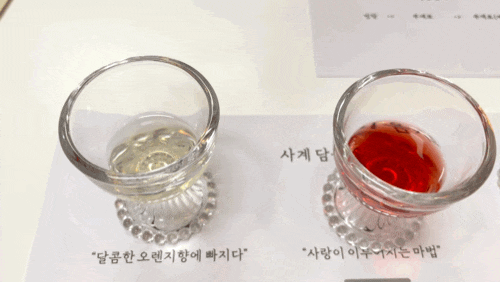 이미지 10997140
