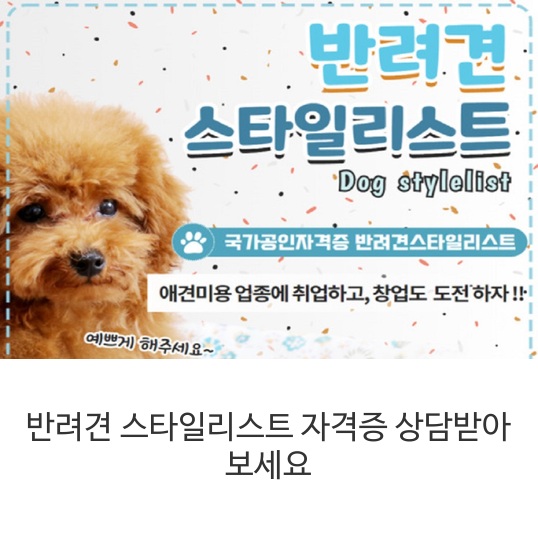  반려견 스타일리스트 자격증 상담받아 보세요