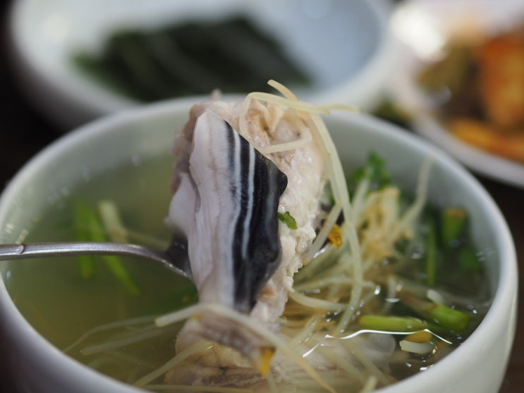 해장에 좋은 부산 영도 맛집에서 까치복국 한 그릇! 리뷰!