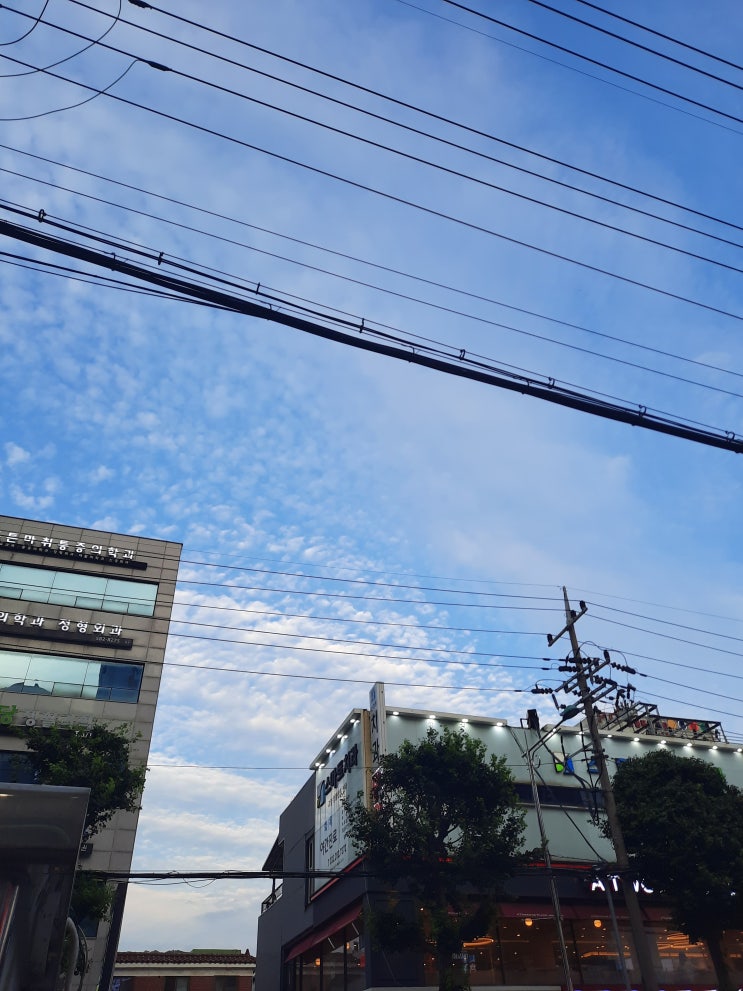  7월 첫번째 주간일기 : 청초호, 롯데리아, 코로나 확진
