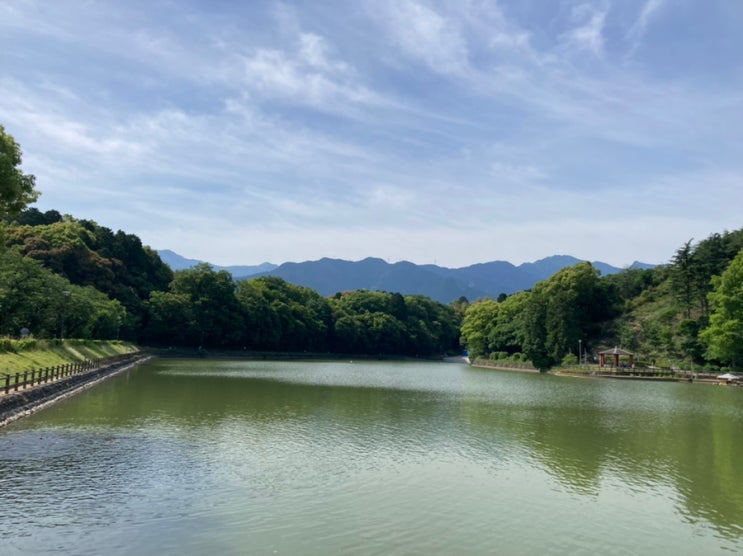 일본 소도시 여행 에히메현 타키노미야 공원(Takinomiya Park)