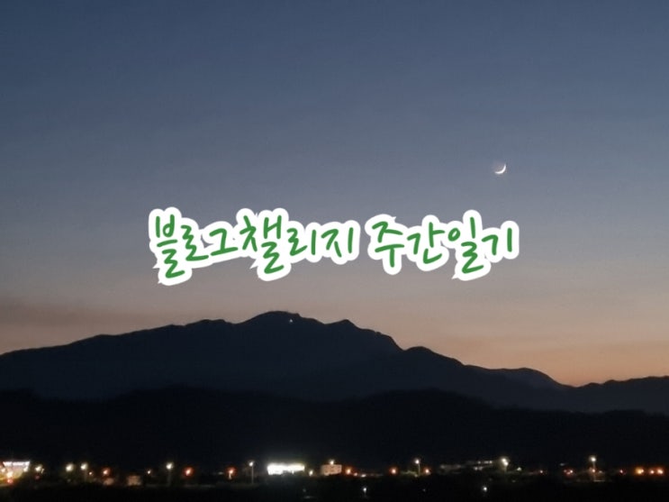  [블챌] 주간일기 챌린지 7/1~7/8