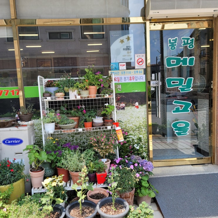  물막국수 꼭 먹기, 오산 봉평메밀고을!
