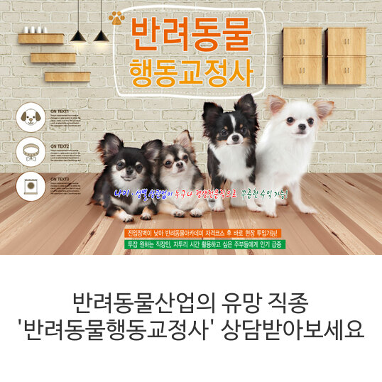  반려동물산업의 유망 직종 '반려동물행동교정사' 상담받아보세요