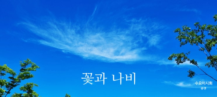  <수요미시회> 74번째 자작 시_ 꽃과 나비