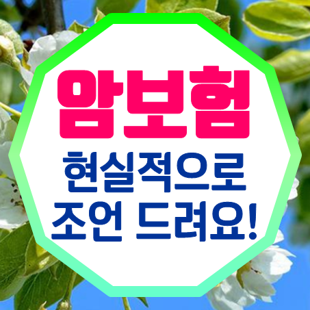  부모님암보험 가입, 현실적으로 조언해 드릴게요!