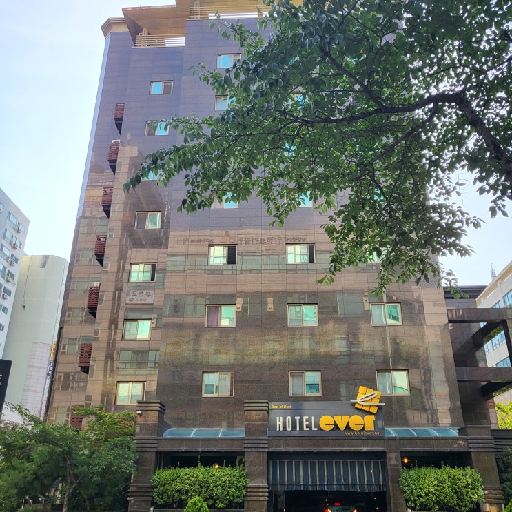 부천 호텔"에버 호텔"/ 부천 상동역 연인과 함께 가기 좋은 호텔/ 욕조 스파를 즐길 수 있는 호텔/ 대실, 숙박 모두 가능한 호텔 + 호박식당 부천 호텔"에버 호텔"/ 부천 상동역 연인과 함께 가기 좋은 호텔/ 욕조 스파를 즐길 수 있는 호텔/ 대실, 숙박 모두 가능한 호텔 + 호박식당