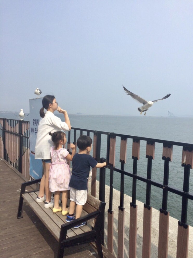 순간포착 7월 6일에 이런일이 | 슬쌍디아빠 과거로의 산책