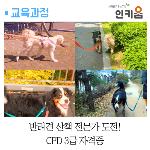  반려견 산책 전문가 민간자격 CPD 3급