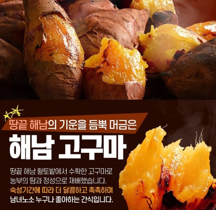  해남 꿀고구마 호박고구마