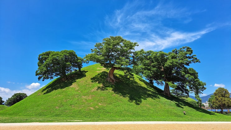  7월 본격적인 여름 한주의 일상