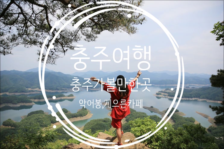 충주여행/ 충주가볼만한곳 게으른악어카페, 악어봉, 악어섬