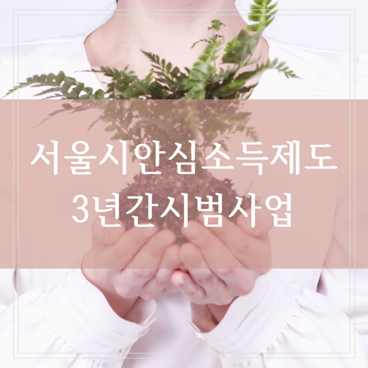  서울시 안심소득 제도 시범사업 차액분 추가지급 내용 정리