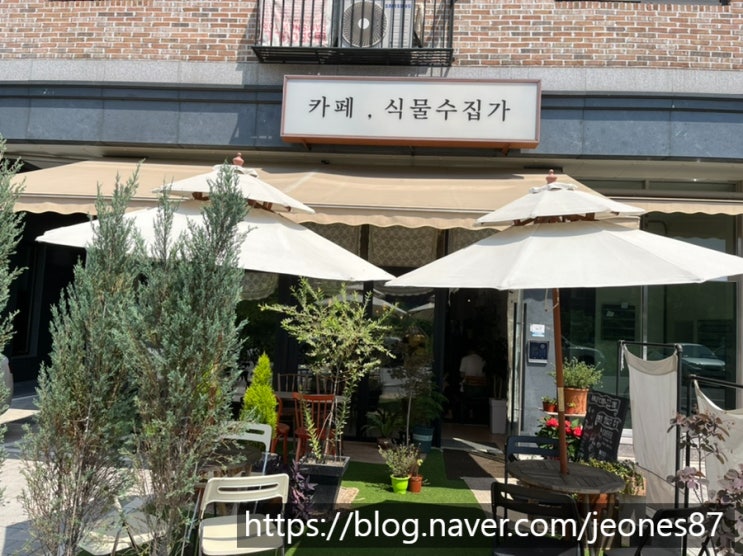  다산카페추천-카페,식물수집가