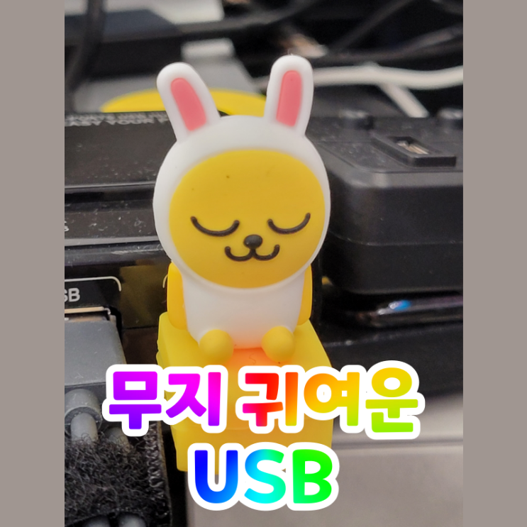 선물받은 피규어 무지 USB 32G (FIGURE USB)