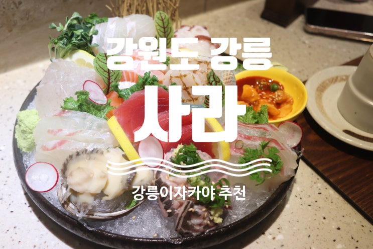  강릉 : 사라 이자카야 강릉핫플 강릉술집