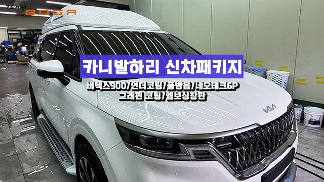  인천 카니발 하이리무진 신차패키지 고민되신다면?