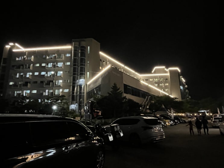  오션투유리조트 펫룸, 애견동반 가성비 끝판왕ㅇㅈ