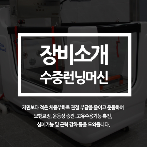  수중보행재활장치 / 런닝머신 장비 (24시 센텀동물메디컬센터 연산점)