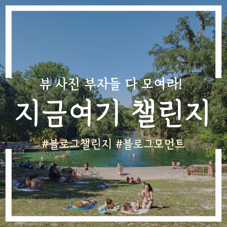  네이버 #지금여기챌린지 참여방법 및 유의사항