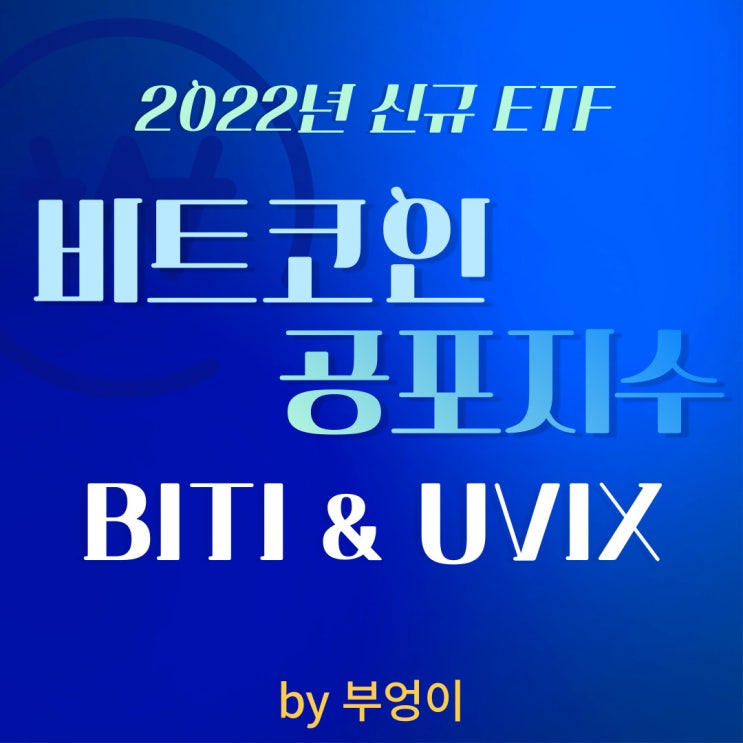 순매수 상위 미국 ETF - BITI & UVIX (비트코인 인버스 & VIX 레버리지)