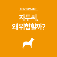  강아지 자두씨, 왜 위험할까?