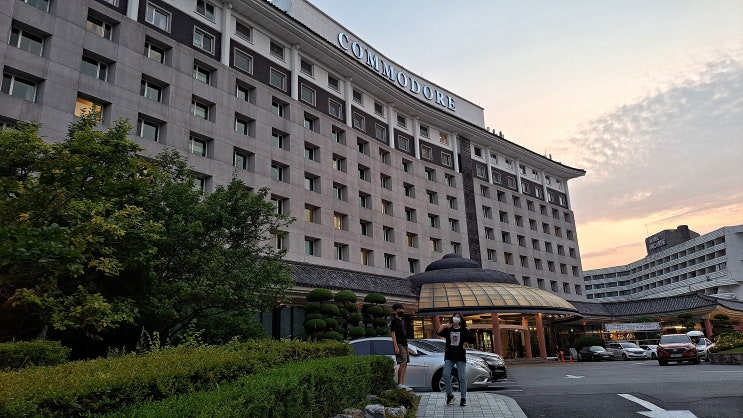  아이들과 가볼만한 가성비 좋은 뷔페, 코모도 호텔 뷔페