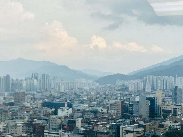 벌써 7월, 주간일기 벌써 7월, 주간일기