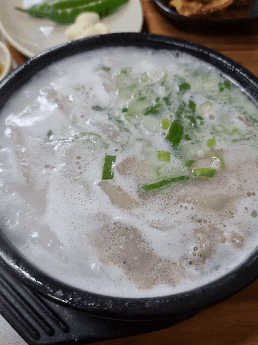  장유돼지국밥 / 도도돼지국밥 / 항정국밥 / 오래된장유맛집
