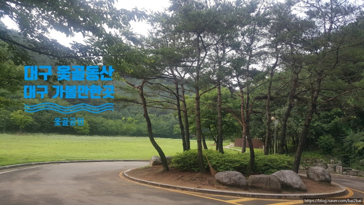  대구 옻골동산(대구 북구 가볼 만한 곳)-옻골구장(축구장) 이용 안내