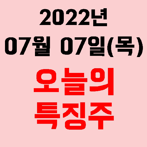  오늘의 시장 특징주 2022년 07월 07일(목)