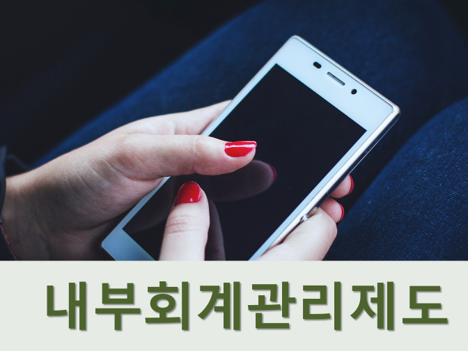  내부회계관리제도 설계의 효과성 평가