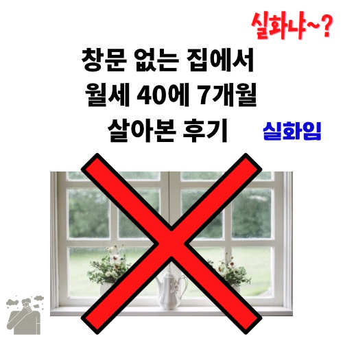 창문 없는 집에서 월세 40에 7개월 산 후기(제2종 근린 생활시설은 피하자.)c_창문없는 오피스텔 살이_북향집 단점 창문 없는 집에서 월세 40에 7개월 산 후기(제2종 근린 생활시설은 피하자.)c_창문없는 오피스텔 살이_북향집 단점